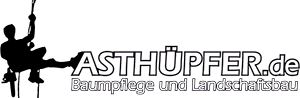Asthüpfer - Baumwurzelfräsen und Baumpflege Norderstedt